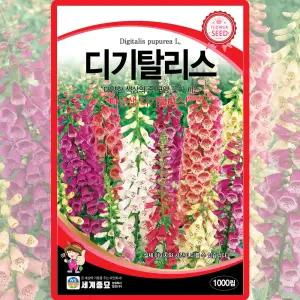 세계종묘 디기탈리스 씨앗 1000립 디기탈리스 꽃씨 종자