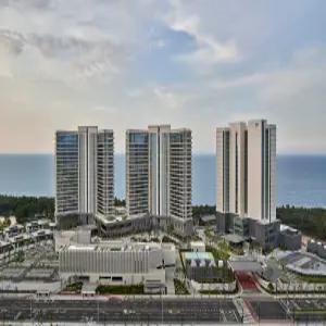 [강원 호텔] 신라모노그램 강릉 레지던스 (경포대,사천,주문진,정동진)