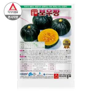 [아시아종묘] 씨앗 단호박 보우짱 100립