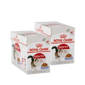 브이펫 로얄캐닌 고양이파우치 인스팅티브 젤리 24개체중유지
