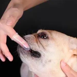 반려동물실리콘손가락칫솔10p강아지고양이양치 (WFKAJKS)