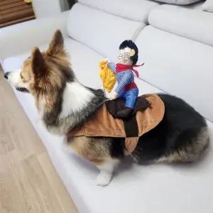 코스튬 할로윈 옷 약탈범 애견 강아지 M 고양이 의류 (WFKB8DM)