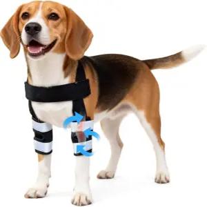 페타님스 반려견 앞다리 보호대 - 반려견을 위한 무릎/카팔/손목 지지 어깨 지지가 있는 조절 가능한