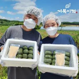 [거북이떡]직접농사지은 해남 쑥떡 인절미 1kg + 국산 콩가루 100g