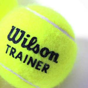 윌슨 트레이너볼 테니스 연습구 1구 (낱개1알)