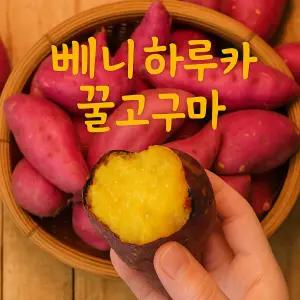 [평점 높은]25년 베니하루카 고구마  꿀 고구마 5kg(한입)
