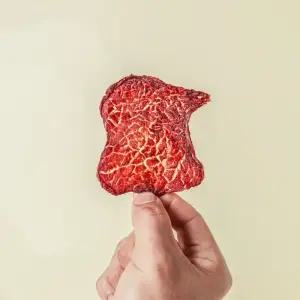 그래스페드육포 바삭한식감 고기과자 [목초우 목초육 비프칩 소고기칩]