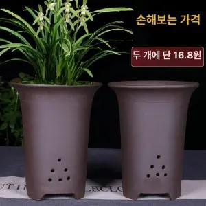 난초 화분 동양난 대형 개업