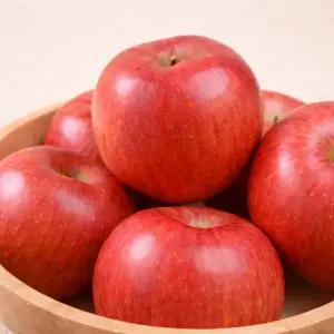 충북 음성 토옥사과 5kg 14-16과 꿀사과