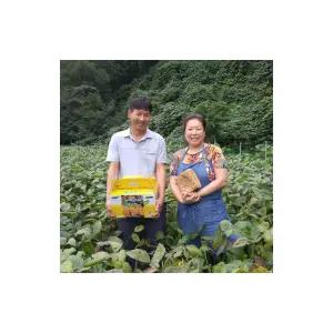 [고령메주]경북 고령에서 직접 농사지어 만든 국산 메주 5kg+장소금2.2kg 1포