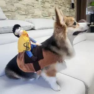 애견 할로윈 코스튬 강아지 S 약탈범 옷 (WFKBLH3)