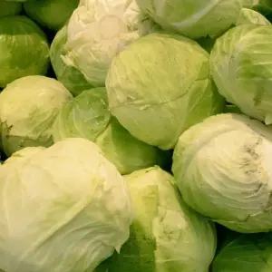 [팜보스]샐러드부터 찜까지 버릴 것 없이 꽉 찬 대용량 만능 양배추 2kg