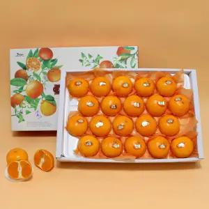 [롯데백화점] 석희농장 석희농장 프리미엄고당도 천혜향선물세트 4kg