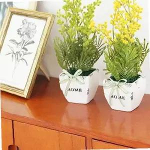 도자기 화분에 담긴 보송보송 뽀송 홈 화분