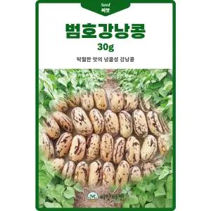 범호 강낭콩 씨앗 30g 넝쿨성 호랑이 강낭콩씨 종자