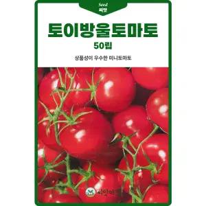 토이방울 토마토 씨앗 100립 상품성 우수한 미니 방울토마토씨 종자