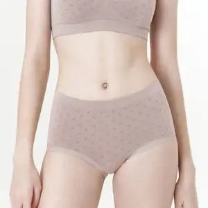 갓바디 모달 심리스 미넷도트 팬티