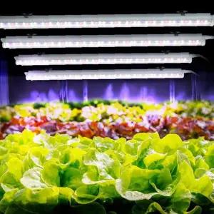 실내 재배용 LED 생장 조명 4개 풀세트 수경 재배 식물 성장 촉진 가정용