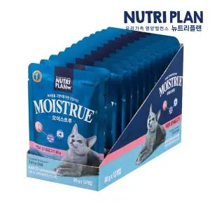 동원 뉴트리플랜 모이스트루 고양이 주식 파우치 어덜트 80g×12개