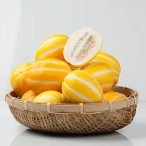 달콤한 과즙 아삭아삭한 식감 성주 참외 2kg / 소과 13-15과내외