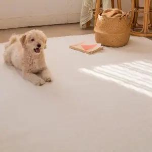 코티홈 스트라이프 러그 200x300cm 코스트코 코와샵2602