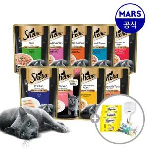 [24+24] 쉬바 수제수프 24개+파우치 24개 골라담기+모래삽+캣닢쿠션+템테이션12gx3팩