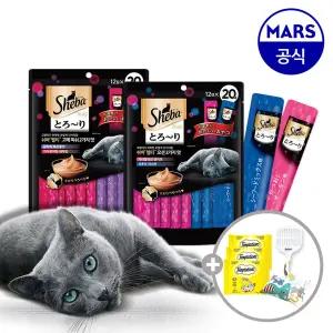 쉬바 멜티 12gx40p+모래삽+캣닢쿠션+템테이션12gx3팩