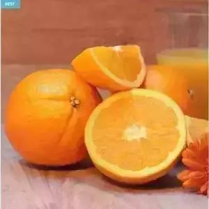 [거북농산]네이블고당도 오렌지/퓨어스펙/썬키스트블랙라벨 오렌지 20개내외 옵션선택