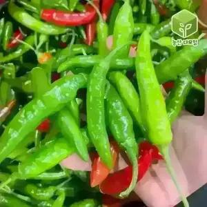 국내산 청양고추 반홍청양고추 5kg