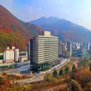 [강원] 트라움 밸리 호텔(강원, 정선)