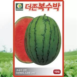 다농 더존복수박 씨앗 10립 소과형 수박씨 종자