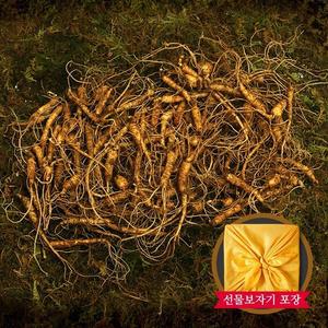 [자연삼가] 강원도 토종 산양삼 실속형 100g(5-6년근 60-90뿌리)