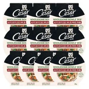 강아지 습식 사료 홀썸볼 소고기 당근 85g 10P 화식 (WFJCI76)