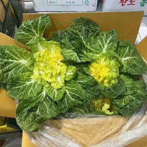 국내산 봄동 배추 5kg 10kg 업소용