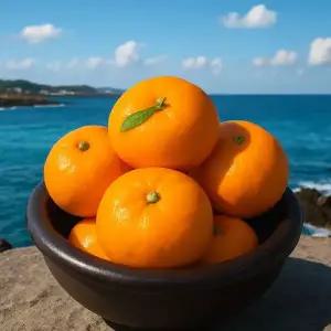 제주 못난이 가정용 하우스 천혜향 10kg 혼합과