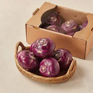 제주 콜라비 1.5kg (3~5입)