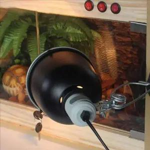 거북이 파충류 램프 거치대 동물 도마뱀 램프 거치대 히터 사육