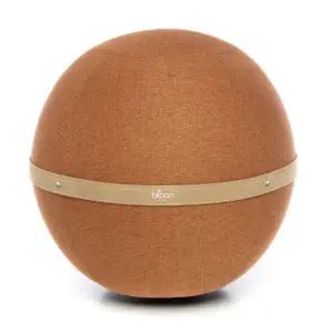 [롯데백화점]블룬파리 [무케] 블룬파리_블룬 오리지널 (테라코타) 코어운동 짐볼체어