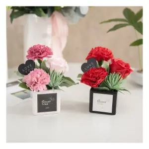 카네이션 조화 화분 쁘띠폼폼 set 14cm 2컬러 꽃 어버이날 스승의날 테이블 장식 감사 선물