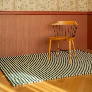 코티홈 스트라이프 러그 170x230cm 코스트코 코와샵2602