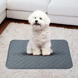 펫도그 빨아쓰는 배변패드 강아지 세척배변패드 애완