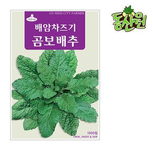 곰보배추씨앗 1000립 곰배배추종자 텃밭채소 씨앗