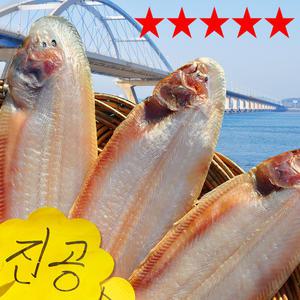 반건조 박대 2~10미 40-24cm 서대 군산항 반건조생선