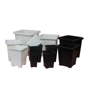 다육이야기 국산 사각 슬릿 플라스틱 플분 화분 0.5호 블랙 화이트 10+1