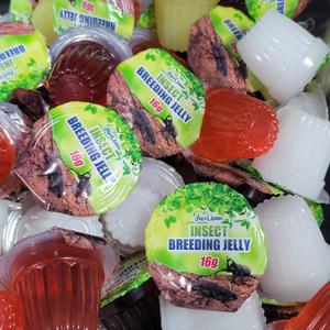 곤충젤리 60개 장수풍뎅이 사슴벌레 젤리 먹이 발효톱밥 곤충 사육 키우기