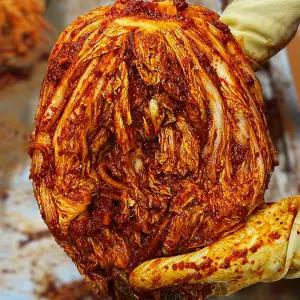 불뿜는 맵땡 2kg 3kg 매운김치 땡초 청양 쥐똥고추 해나미