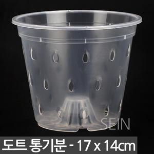 도트 통기난분 17호 - 화분 투명 난분 난 관엽 슬릿 호접란 동양 포트 플분 플라스틱 란 서양 동양 모종 심