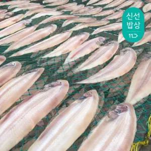 [품질보장]군산 황금 서대 반건조 박대 중 26-29cm(10미)