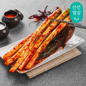 전라도할매 국내산 프리미엄 대파김치 2kg