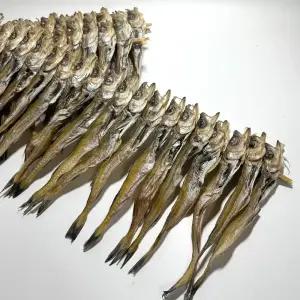 (명태) 줄노가리 80급,100급,120급 2줄 40마리 모음